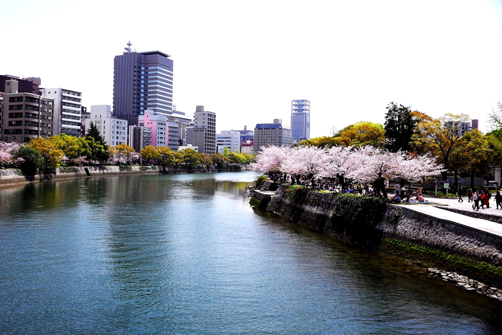 平和公園でお花見