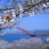 春の音戸公園