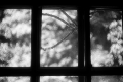 昭和の窓ガラス