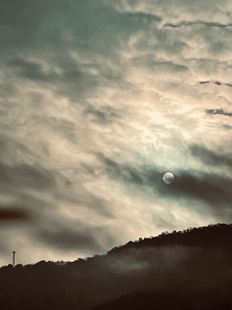 雨上がりの朝