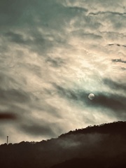 雨上がりの朝