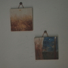 display