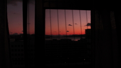 A DAY