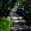 DSC_7809