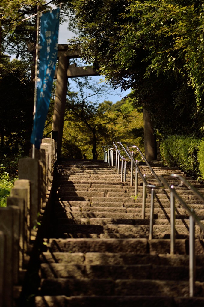 金崎宮参道