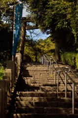 金崎宮参道
