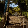 金崎宮参道