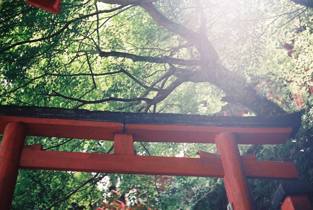 太鼓谷稲成神社　2018.6.11