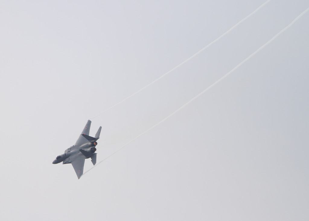 岐阜基地航空祭②