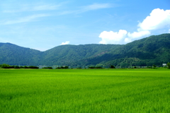 田園風景