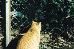 背中で語ります