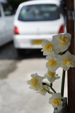 花と車