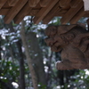手水舎の獅子