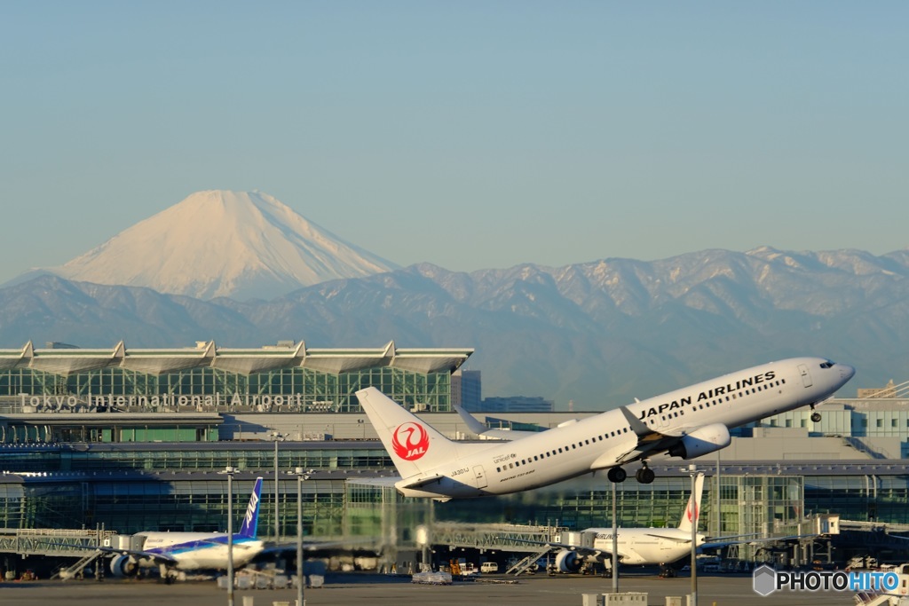 フジとヒコーキ