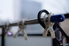 洗濯頑張るぞ！