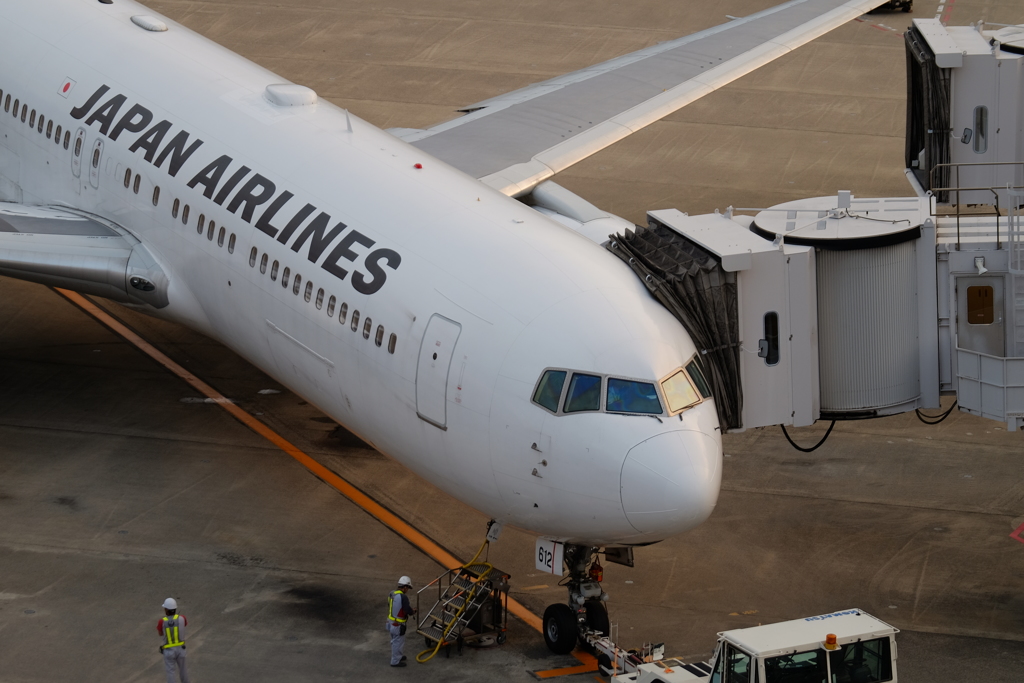 羽田空港撮影記13
