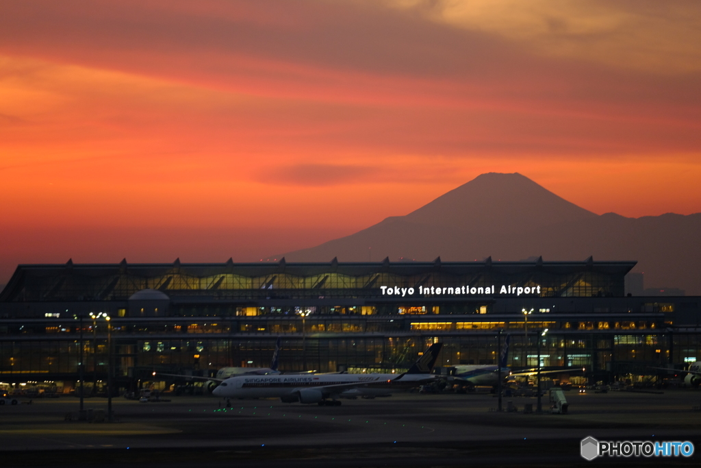 羽田空港撮影記⑦
