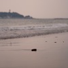 七里ヶ浜
