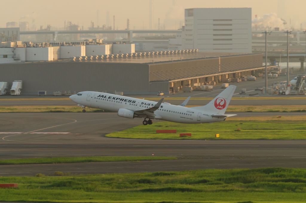 羽田空港初撮影⑩