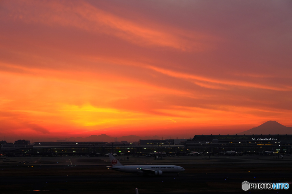 羽田空港撮影記⑨