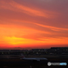 羽田空港撮影記⑨