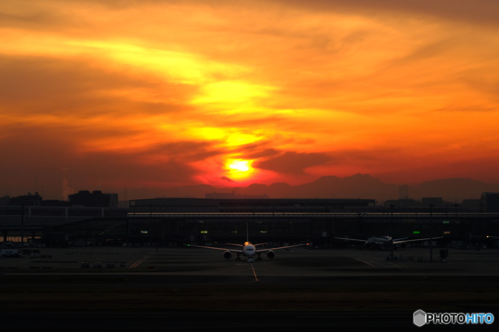 羽田空港撮影記⑧