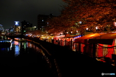 大岡川桜祭り②