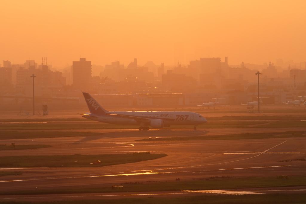 羽田空港初撮影11
