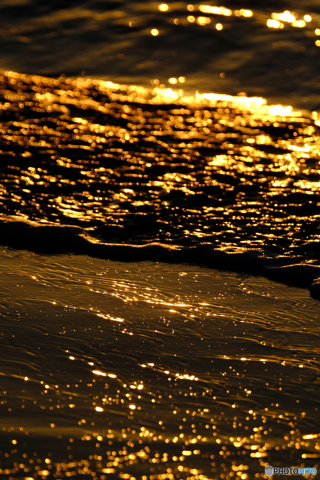 黄金色の海