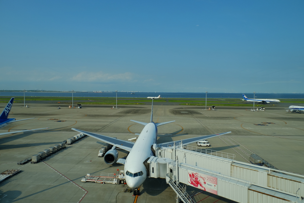 羽田空港撮影記①