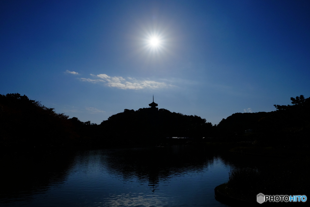 横浜紅葉⑪