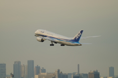 羽田空港撮影記11