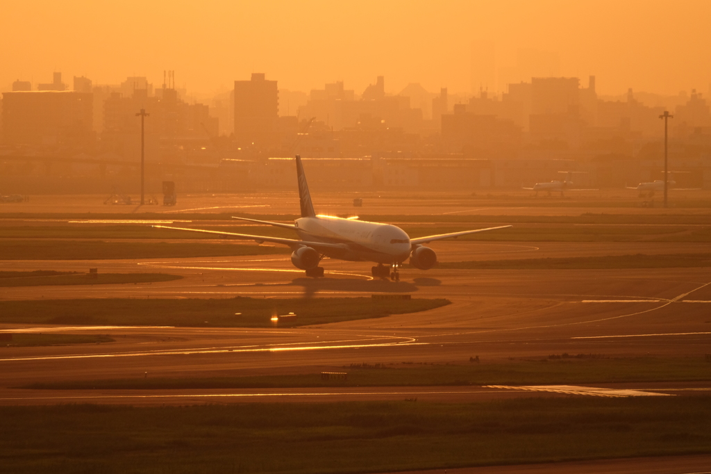 夕焼けの羽田空港