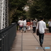汽車道スナップ