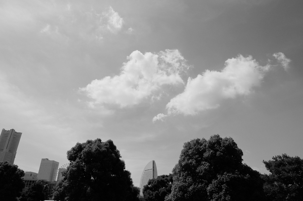 ヨコハマスナップ②