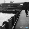 山下公園スナップ①