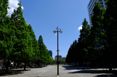  横浜大通り公園①