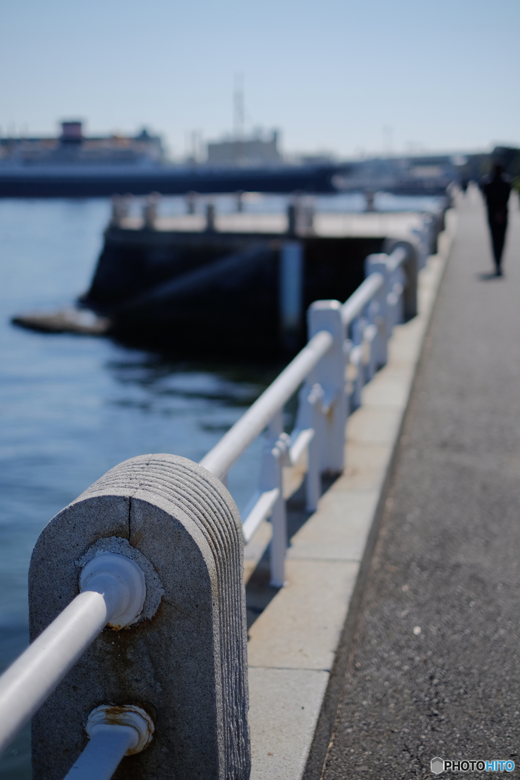 山下公園の手すりにカモメが居ない…