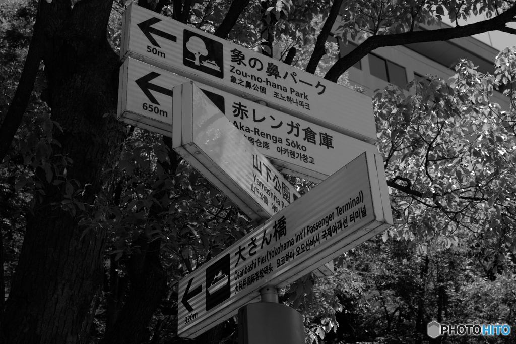 横浜モノクロ⑧