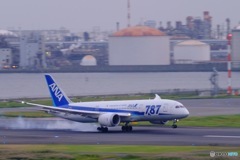 羽田空港撮影記⑤