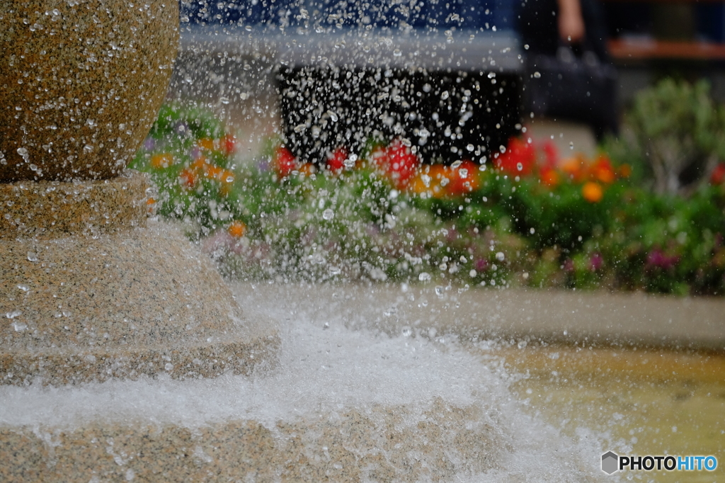 「XF50-140」スナップ③