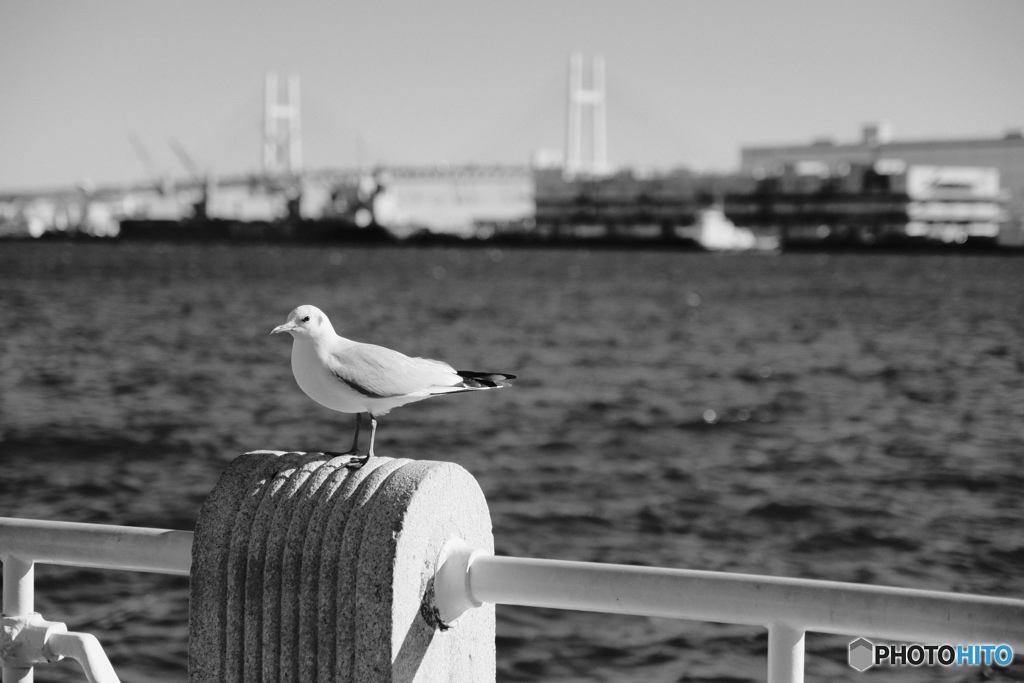 横浜散歩⑥