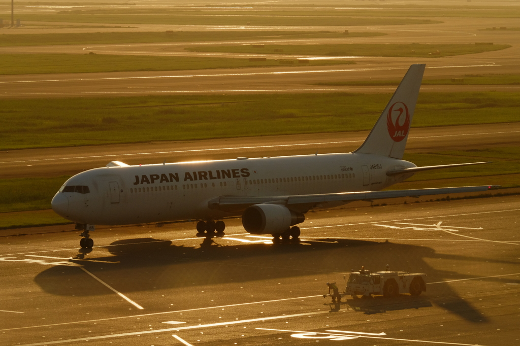 羽田空港初撮影⑧
