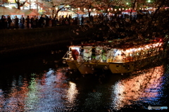 大岡川桜祭り⑤