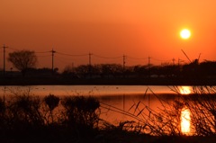 夕陽