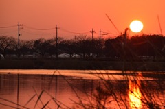 夕陽