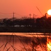夕陽