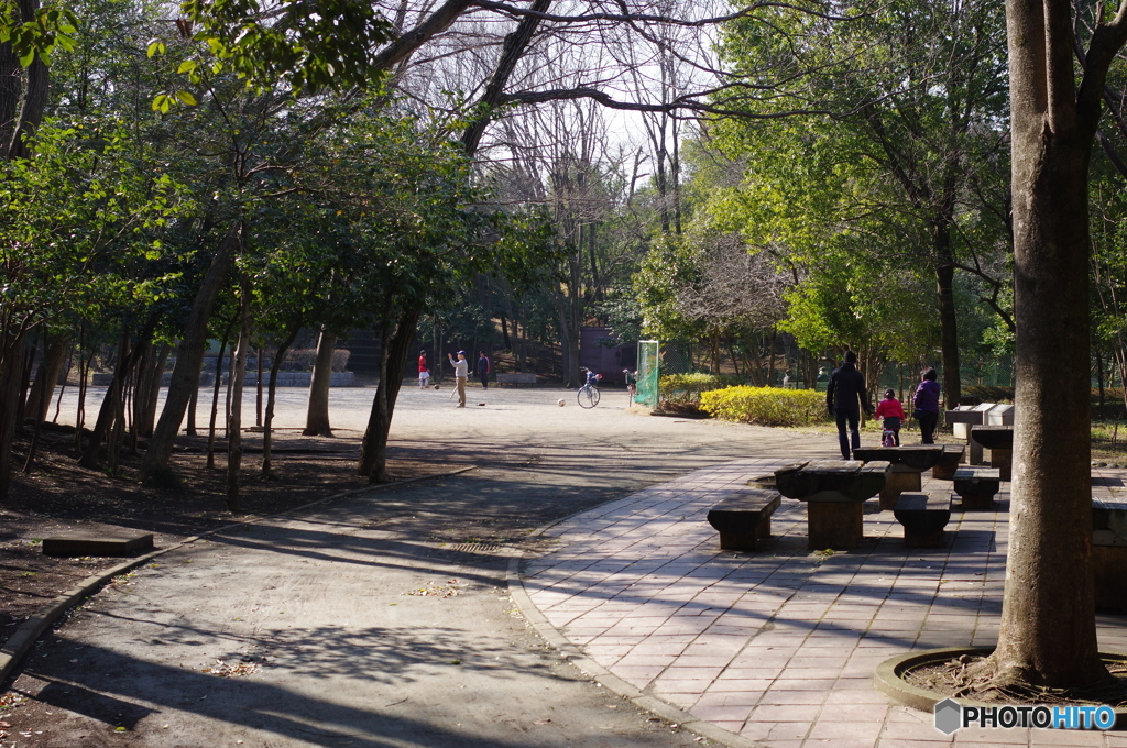 公園のひととき
