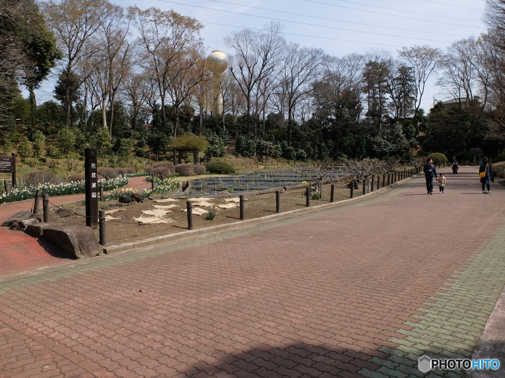 春まだ浅い庭園