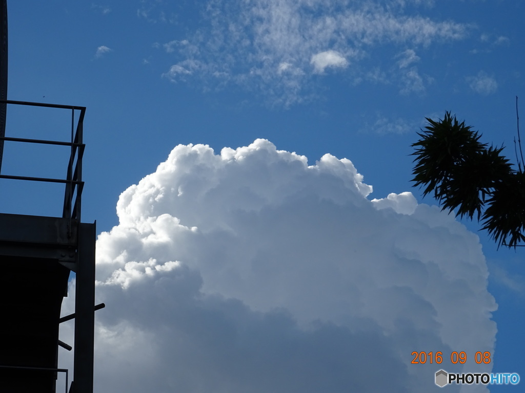 夏雲